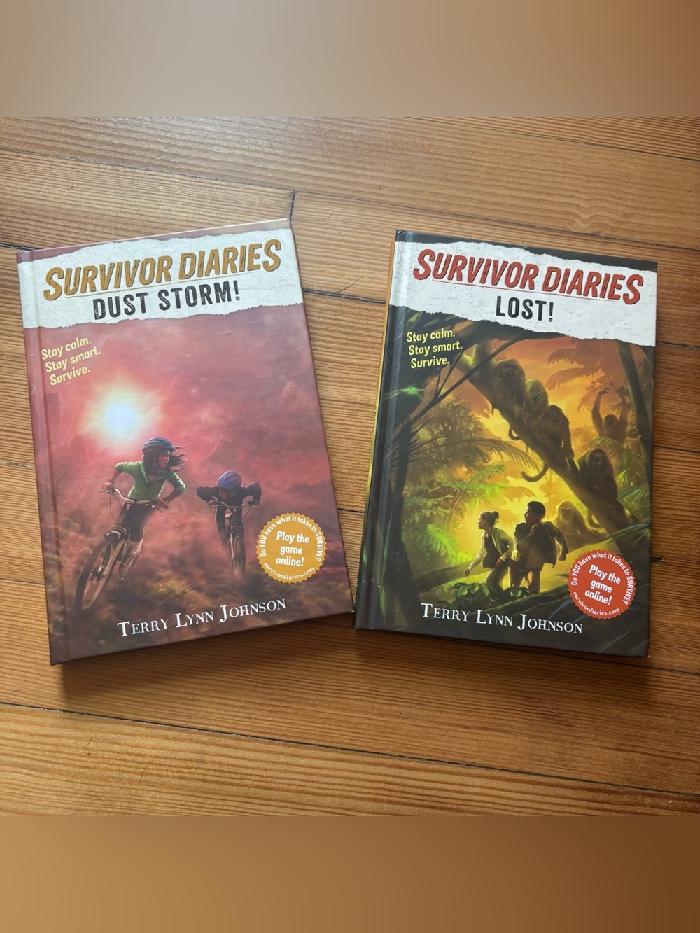 Lot of 2 Survivor Diaries : Dust Storm! & Lost! Hardcover Books